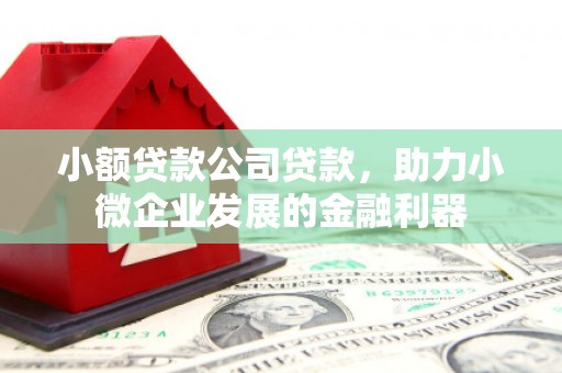 盐津小额贷款公司贷款，助力小微企业发展的金融利器