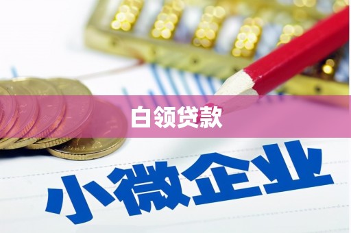 盐津白领贷款