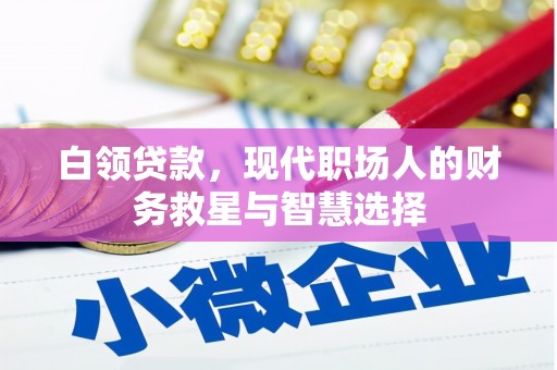 盐津白领贷款，现代职场人的财务救星与智慧选择