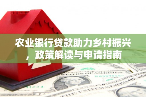 盐津农业银行贷款助力乡村振兴，政策解读与申请指南