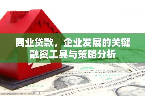 盐津商业贷款，企业发展的关键融资工具与策略分析