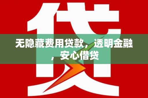 盐津无隐藏费用贷款，透明金融，安心借贷