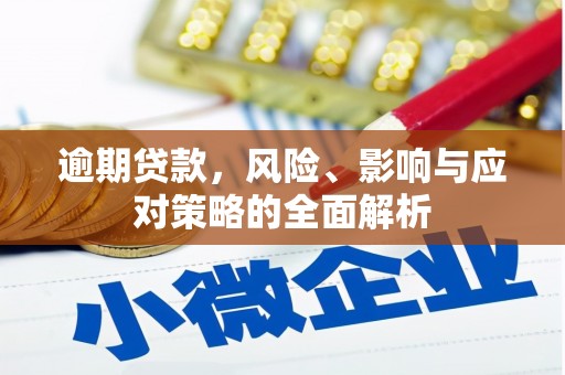 盐津逾期贷款，风险、影响与应对策略的全面解析