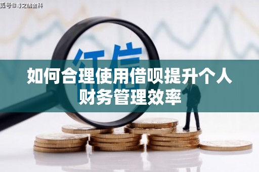 盐津如何合理使用借呗提升个人财务管理效率