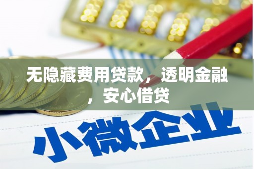 盐津无隐藏费用贷款，透明金融，安心借贷