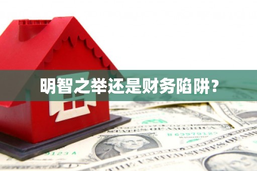 盐津明智之举还是财务陷阱？