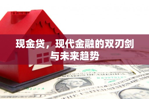 盐津现金贷，现代金融的双刃剑与未来趋势