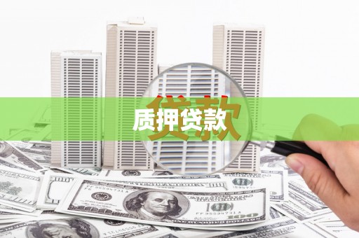 盐津质押贷款