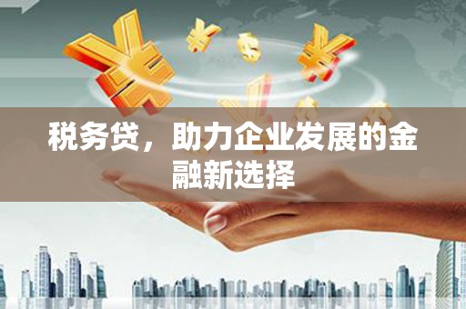 盐津税务贷，助力企业发展的金融新选择