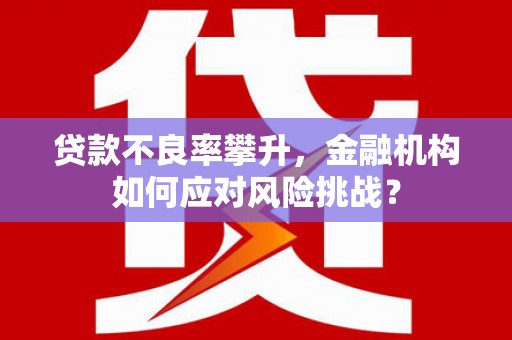 盐津贷款不良率攀升，金融机构如何应对风险挑战？