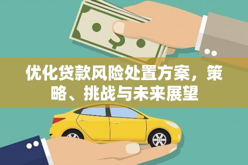 盐津优化贷款风险处置方案，策略、挑战与未来展望