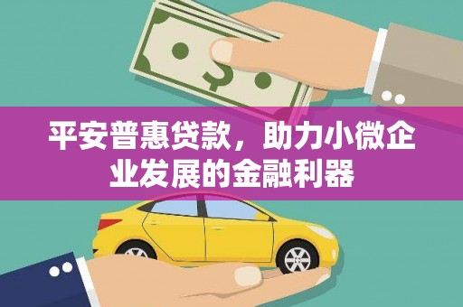 盐津平安普惠贷款，助力小微企业发展的金融利器