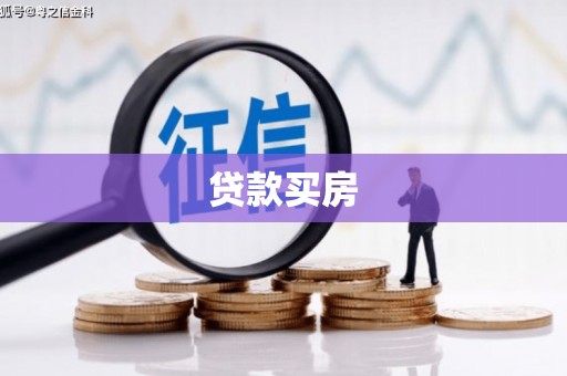 盐津贷款买房