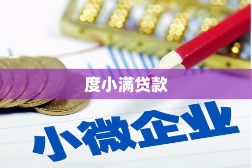 盐津度小满贷款