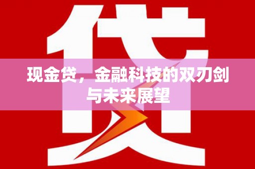 盐津现金贷，金融科技的双刃剑与未来展望