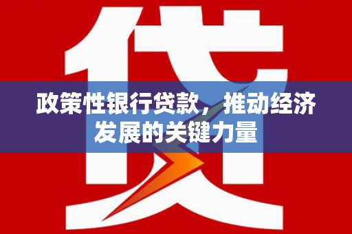 盐津政策性银行贷款，推动经济发展的关键力量