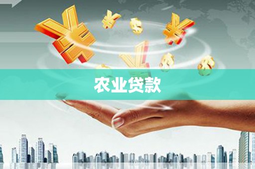 盐津农业贷款