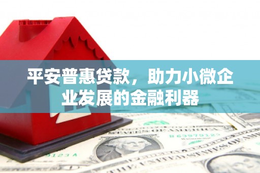 盐津平安普惠贷款，助力小微企业发展的金融利器