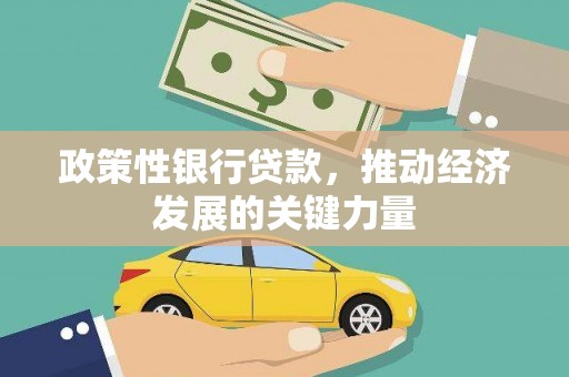 盐津政策性银行贷款，推动经济发展的关键力量