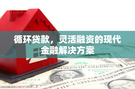 盐津循环贷款，灵活融资的现代金融解决方案