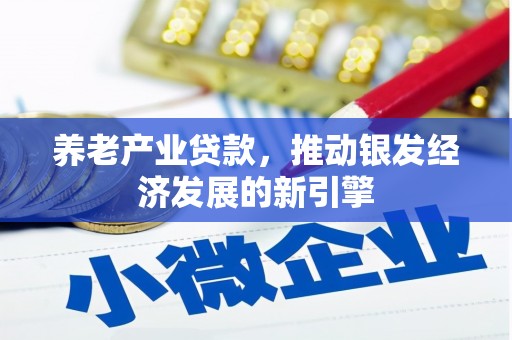 盐津养老产业贷款，推动银发经济发展的新引擎