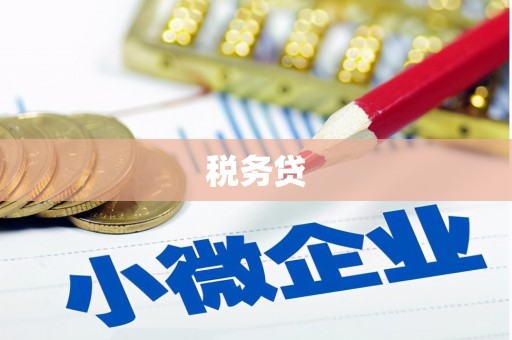 盐津税务贷