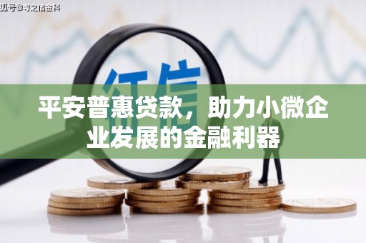 盐津平安普惠贷款，助力小微企业发展的金融利器
