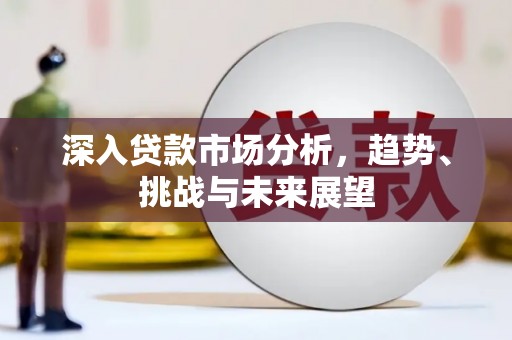 盐津深入贷款市场分析，趋势、挑战与未来展望