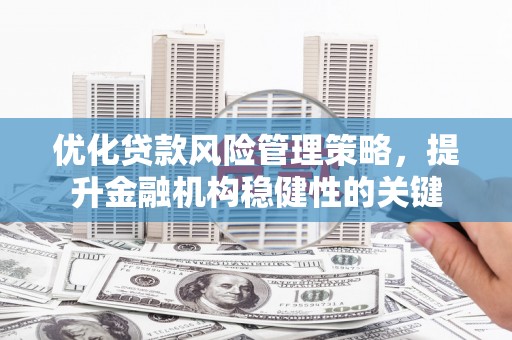 盐津优化贷款风险管理策略，提升金融机构稳健性的关键