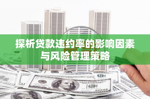 盐津探析贷款违约率的影响因素与风险管理策略