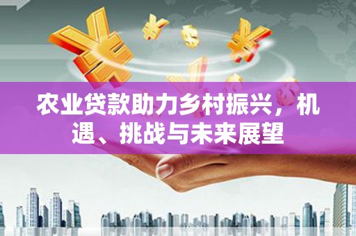 盐津农业贷款助力乡村振兴，机遇、挑战与未来展望