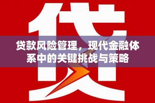 盐津贷款风险管理，现代金融体系中的关键挑战与策略