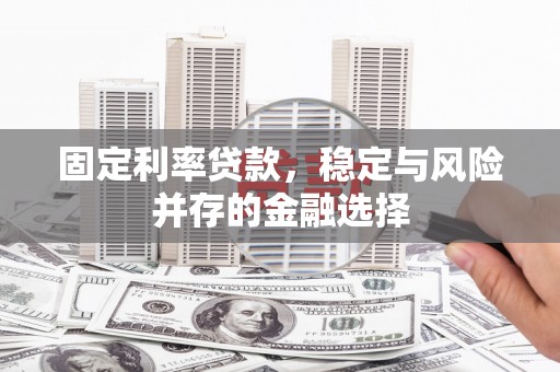 盐津固定利率贷款，稳定与风险并存的金融选择