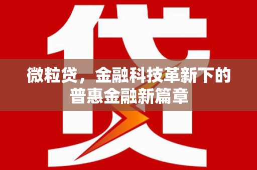 盐津微粒贷，金融科技革新下的普惠金融新篇章