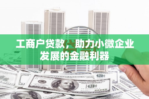 盐津工商户贷款，助力小微企业发展的金融利器