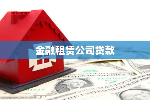 盐津金融租赁公司贷款