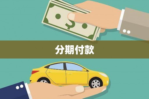 盐津分期付款