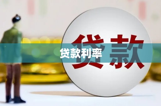 盐津贷款利率