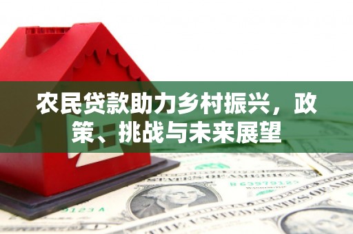 盐津农民贷款助力乡村振兴，政策、挑战与未来展望