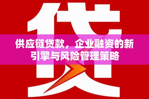 盐津供应链贷款，企业融资的新引擎与风险管理策略