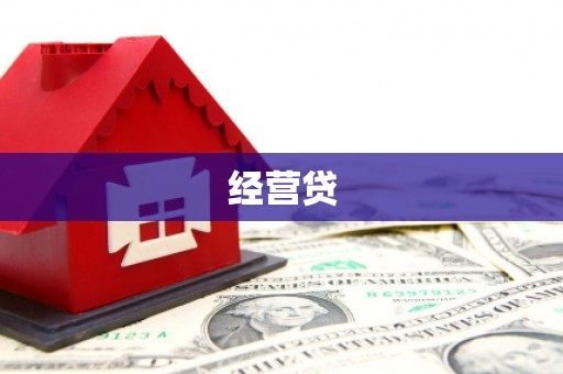 盐津经营贷