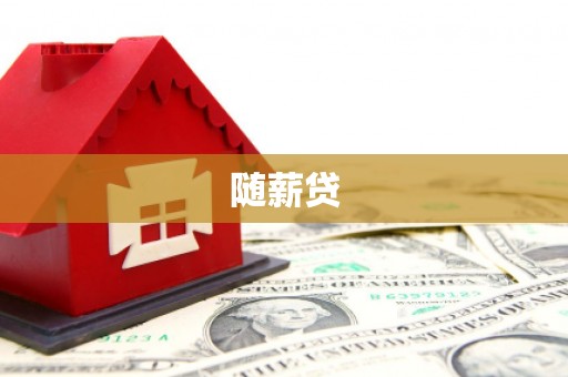 盐津随薪贷