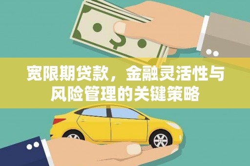盐津宽限期贷款，金融灵活性与风险管理的关键策略