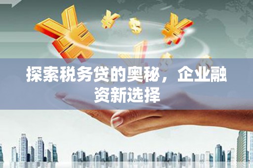 盐津探索税务贷的奥秘，企业融资新选择