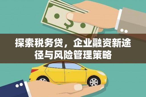 盐津探索税务贷，企业融资新途径与风险管理策略