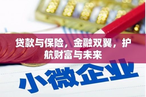 盐津贷款与保险，金融双翼，护航财富与未来