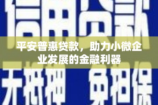 盐津平安普惠贷款，助力小微企业发展的金融利器