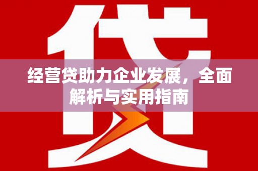 盐津经营贷助力企业发展，全面解析与实用指南