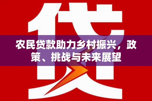 盐津农民贷款助力乡村振兴，政策、挑战与未来展望
