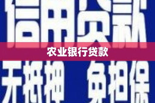 盐津农业银行贷款